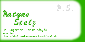 matyas stelz business card